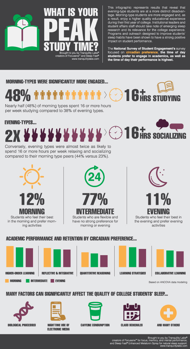 What is Your Peak Study Time? – Infographic (free to share)