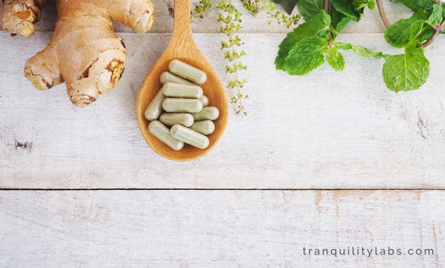 7 Best Natural Herbs For Anxiety And Panic Attacks – Tranquility Labs