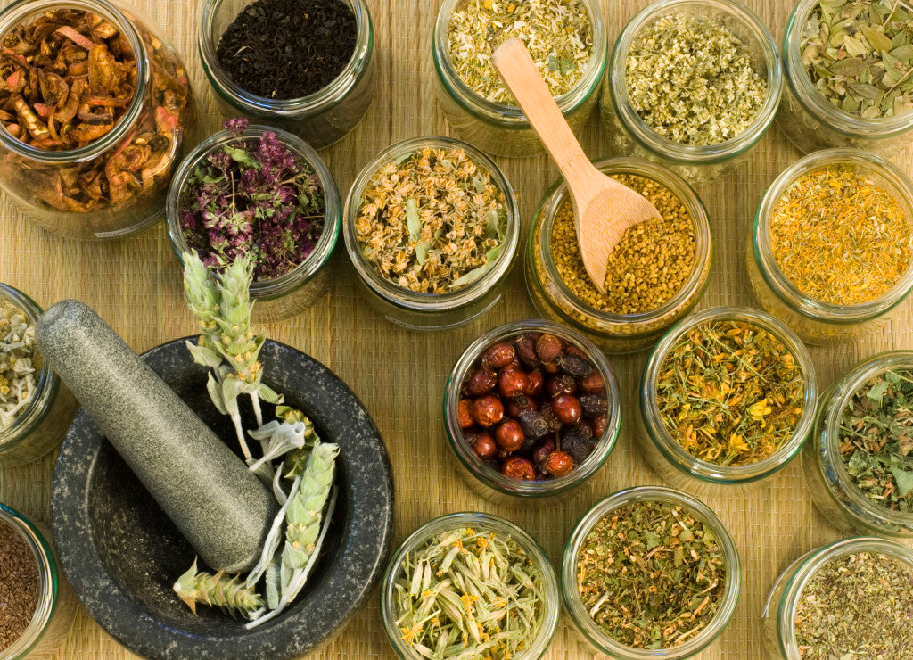 Herbs for Health, Wellness, and Harmony