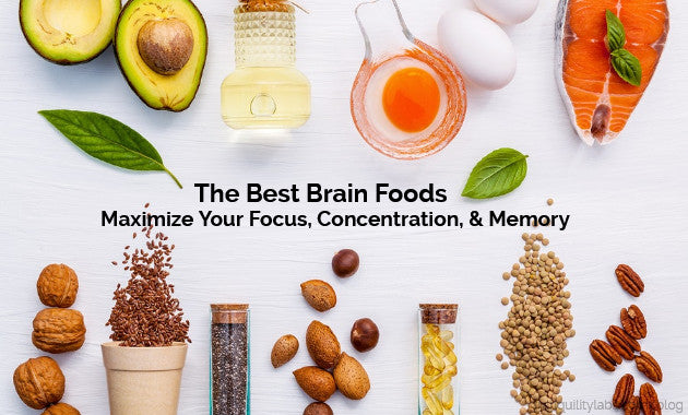 The Best Brain Foods: Maximize Your Focus, Concentration, and Memory ...