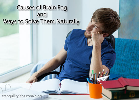 5 Causes of Brain Fog and 5 Way to Solve Them Naturally