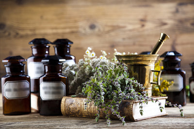 A Basic Guide to Herbal Remedies – Part 1: Herbal Actions